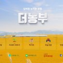 민트팜 네이버블로그