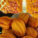 월하농장 | 커피 황간농협DI점 방문 후기 (영동 황간 추풍령 카페...곶감 추풍령 감골농장) 황간 농협 주유소 카페