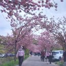 동행 62. (충남 서산 한우목장 웰빙산책로 - 문수사) 이미지