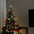 혜인치과의원 | 11월 마지막주 😷