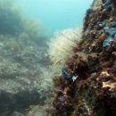 남해-293 이미지