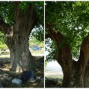 백운면행정복지센터 이미지