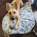 코리도어 이미지