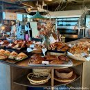 강정동-29 | 제주도빵지순례 도민 최애빵집 협재필수코스 rnr 베이커리 주말 방문 후기