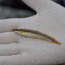 인제중학교 이미지