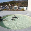 율포해수녹차센터 이미지