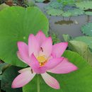 덕고개농장 이미지