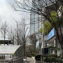 정자청소년수련관.분당클리닉 이미지