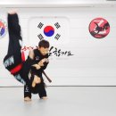 드림태권도전문도장 이미지