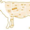 암소제비추리 이미지