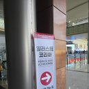[일상] 2026 서울 일러스트코리아 후기(서일코) | 코엑스에서 혼자 놀기(육공이농장, 담찌아트, 보들부...