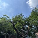 수원주유소 이미지