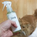 농업회사법인 꼼냥(주) 이미지