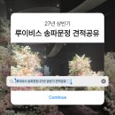 [웨딩홀] 루이비스 송파문정 27년 상반기 상담 후기 | 아모리스홀 견적공유 ⭕