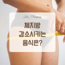지안팜퍼니