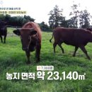 미연농장 이미지