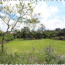 삼양해수욕장 이미지