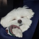 승관농장 이미지