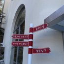 캣존 | 애견동반 가능한 남양주 베이커리카페 [솔몽 베이커리] 후기