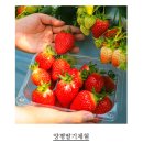 갈산목장 이미지