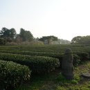 초록마을제주 - 서귀포시 영어도시로 61 | 초록마을제주