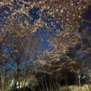 방화근린공원 이미지