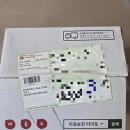 갓 따옴 | ​[내돈내산] 정읍 따옴농장 완숙토마토 후기: 기다림이 아깝지 않은 싱싱함!