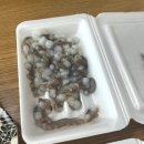 권선동 1229 | 수원농수산물시장 횟집 정훈수산 상차림식당