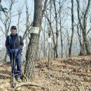 화천3리신기 이미지