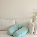 잠 | 임신 후기 임산부 잠 불면증, 잠자는 자세