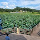 고구낚시터 이미지
