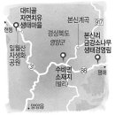 대티골계곡 이미지