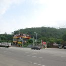남사박 이미지
