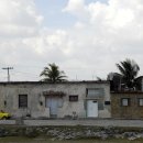 코히마르 이미지