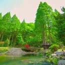 논산종합관광안내소 이미지