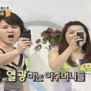 디나우스 이미지