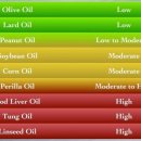 대지오일 이미지