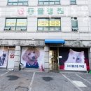 굿파파 24시 반려동물건강검진센터 이미지