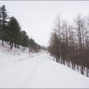 진원 스포츠(주) 이미지