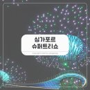 서정슈퍼 | 싱가포르 여행 가든스 바이 더 베이 슈퍼트리쇼 대표 야경 명소