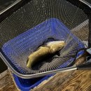 이문52 | 대학로 놀거리 혜화역 실내 데이트 24년운영 실내낚시카페 &#34;착한붕어낚시카페 대학로점&#34;