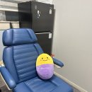 신사의원 이미지