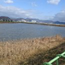 외동배수펌프장 이미지