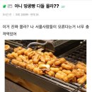 아니 땅콩빵 다들 몰라? 이미지