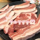 설화벌삼겹 - 경주시 양정로 249 | 경주시청맛집 설화벌삼겹