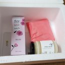 영앤프레시협동조합 이미지