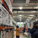 하비함미 이미지