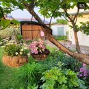 화산중학교 이미지