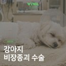 비바동물병원 이미지