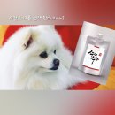 수리수화